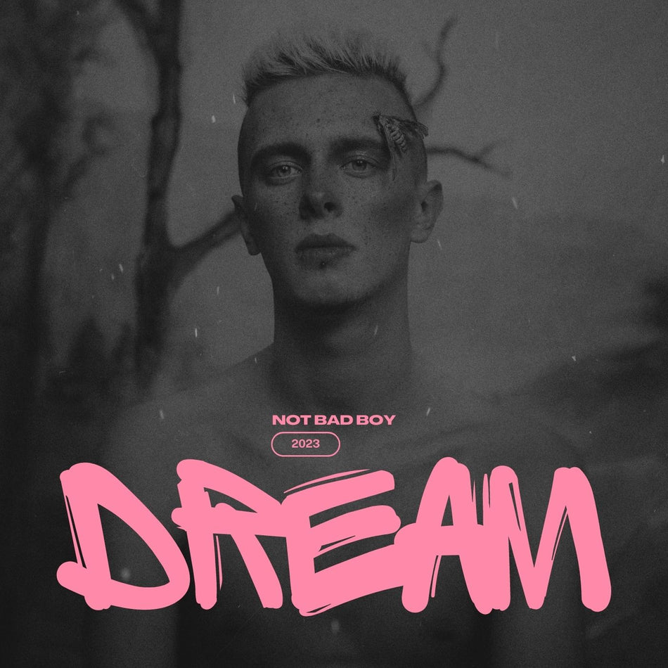 Not Bad Boy - Dream