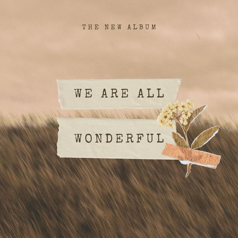 Felicity - We are all wonderful